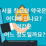 서울 창고형 약국