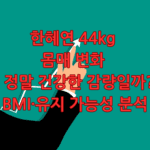 한혜연 44kg 몸매 변화