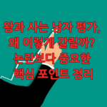 왕과 사는 남자 평가