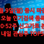 오늘 인기검색 종목