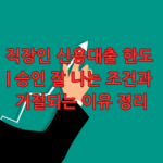 직장인 신용대출 한도