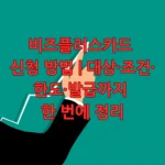 비즈플러스카드 신청