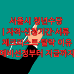 서울시 청년수당