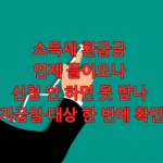 소득세 환급금