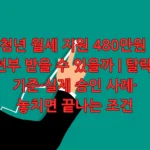 청년 월세 지원 480만원