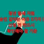 청년 월세 지원