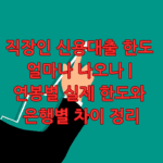 직장인 신용대출 한도