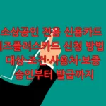 소상공인 전용 신용카드 비즈플러스카드