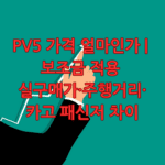 PV5 가격