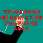 차량 5부제