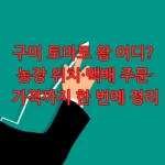구미 토마토 왕