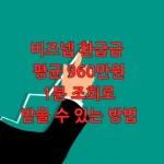 비즈넵 환급금