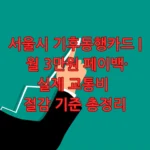 서울시 기후동행카드