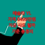 테슬라 YL 가격