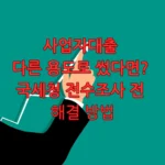 사업자대출 전수조사