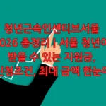 청년근속인센티브서울