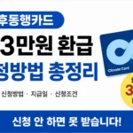 기후동행카드 환급