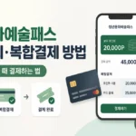 청년문화예술패스 잔액 조회·복합결제 방법: 포인트가 부족할 때 결제하는 법